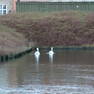 Copenhagen2005 162.jpg